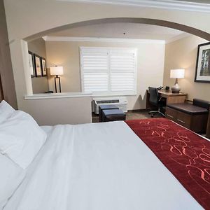 King Suite Mobility accessible