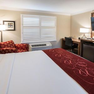 King Room Mobility accessible